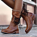  Marron