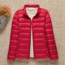  Col Montant Rouge