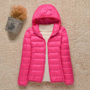  Capuche Rose