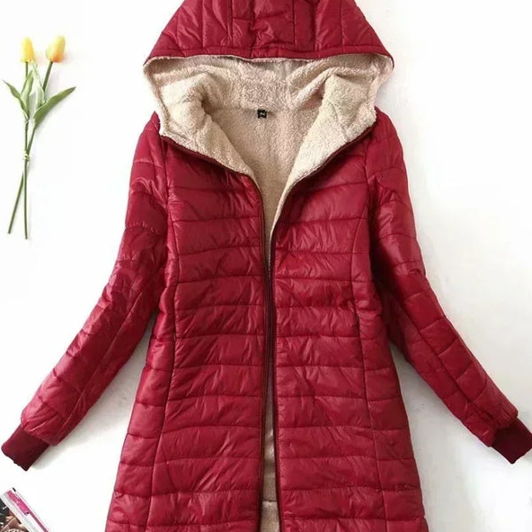 Laurent™ | Veste Coréenne